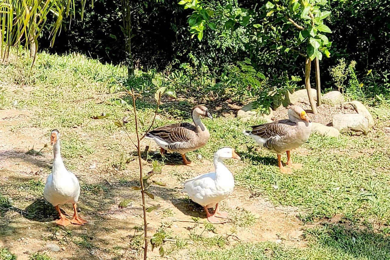 Recanto Dos Sabias - Chales Sao Bonifacio Sc Exterior foto